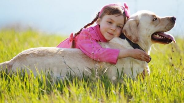 dogoterapia, dogoterapia mińsk mazowiecki