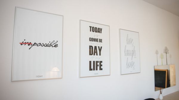 dogoterapia, pies w terapii