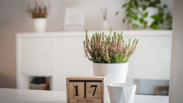 psychoterapia poznawczo-behawioralna